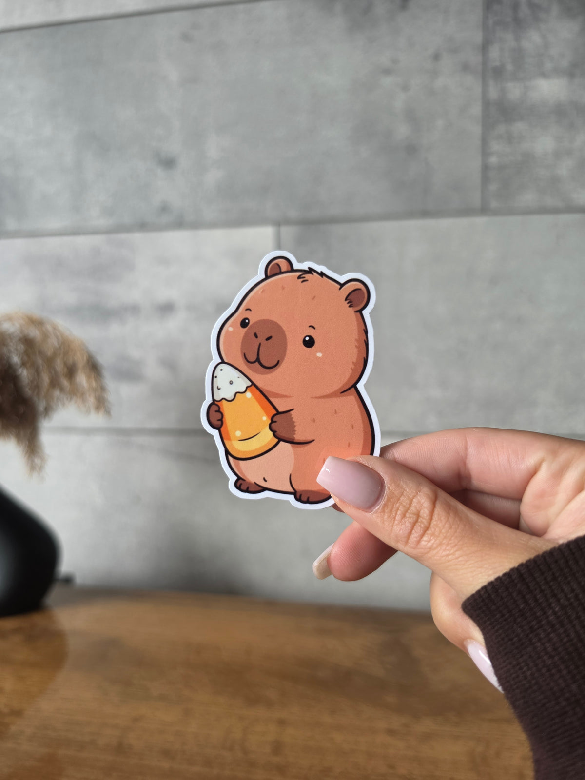 Stickers Collection Capybara Bonbon Maïs